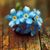 Karen Plett's profile image