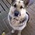Lynda K Sluder-Cramer's profile image