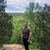 Christy Dye Griggs's profile image