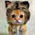 John Dunphy Sr's profile image