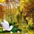Basanti Ghosh's profile image