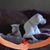Shelly Johnson's profile image