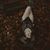 Brianna Paige Hudson's profile image