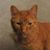 Karen Davis's profile image