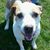 Kelly Rosenwinkel's profile image