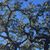 Linda Groesbeck's profile image