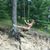 Stephanie Nageotte's profile image