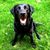 Angela Genco Shamber's profile image