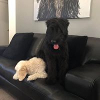 Seta Bundy's profile image