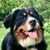 Margaret Yonco-Haines's profile image