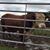 Ruth Ann Evans's profile image