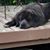 Susan Dillnger's profile image