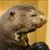 Wendell Sego's profile image
