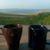 Shaun Bohling's profile image