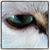 Lisamarie Babik's profile image