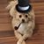 Debra Hugh Sam's profile image