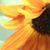 Marilyn Aaron's profile image
