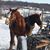 Neil Shattuck's profile image