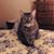 Brenda HenegarPalmer's profile image
