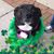 Mel Carlos's profile image