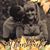Pamela Bonanno's profile image