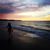 Stefanie Ann's profile image