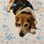 Donna Williams's profile image