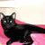 Lisa Craig's profile image