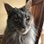 Ruth Doan's profile image