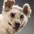 Terry Sullivan's profile image