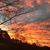 Ramona Harville's profile image
