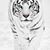 Kiwon Kim's profile image