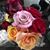 Cindy Martin's profile image