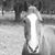 Monica Marie's profile image