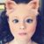 Stacie Morrell's profile image