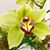 Tina Delatorre's profile image