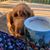 Rachel Britton Brown's profile image