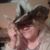 Tomasa Flores's profile image