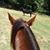 Richard Cowart's profile image