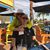 Anne M Donnelly's profile image