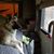 Linda Blondal's profile image