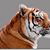 Dinesh Gunalan's profile image