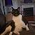 Polly Norris's profile image
