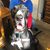Tabitha Brubaker-Carlson's profile image