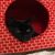 Amie Dietz Coffin's profile image