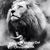 Maria Paulin's profile image