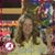 Julia Yancey's profile image