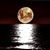 Michael Wachs's profile image