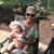 Michelle Lescarbeau Sauka's profile image