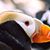 Kevin David Bristowe's profile image
